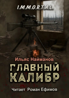 Главный калибр - Ильяс Найманов